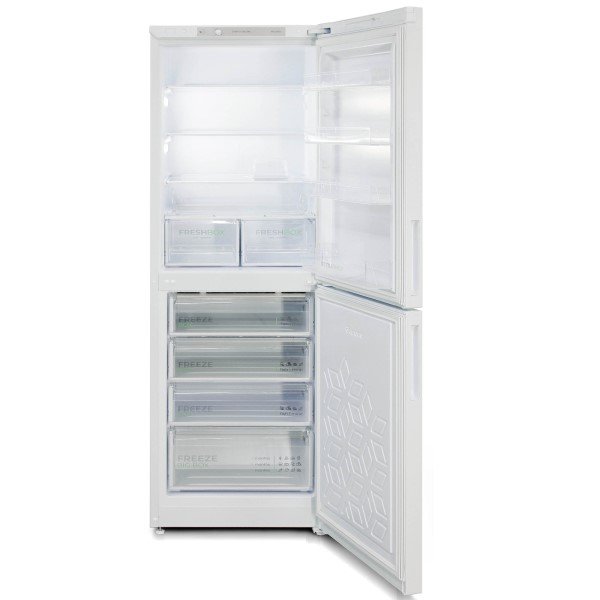 Холодильник Бирюса 6031